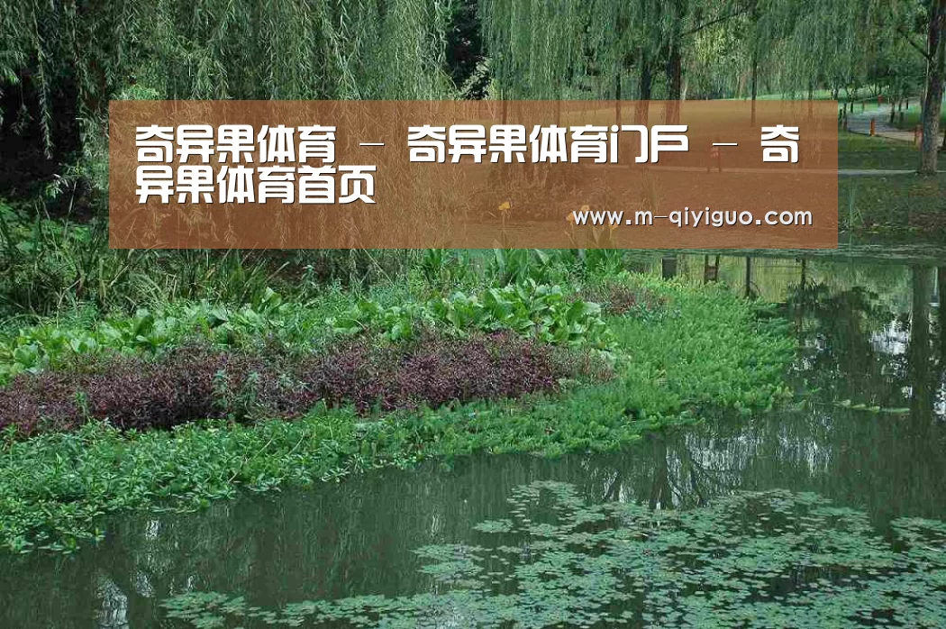 案例展示一(图1)
