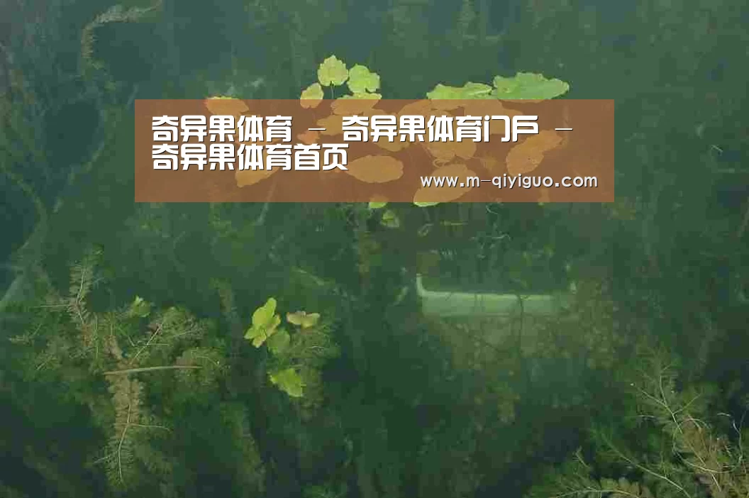 案例展示三