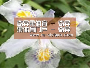 产品名称二