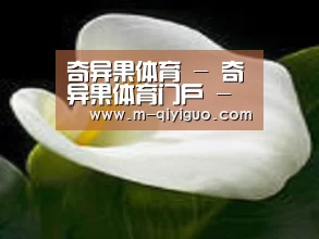 产品名称七