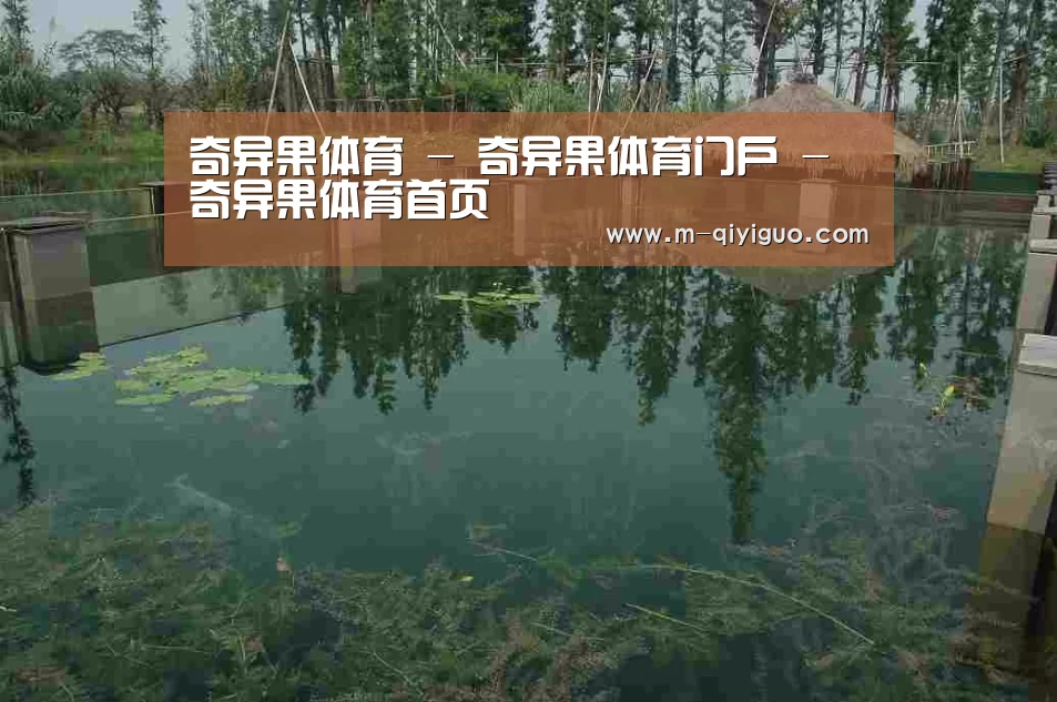案例展示二