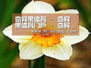 产品名称四