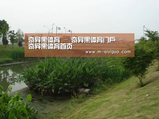 案例展示四