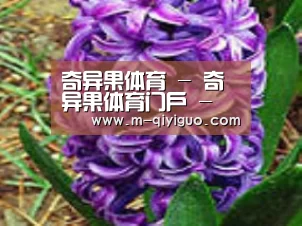 产品名称八