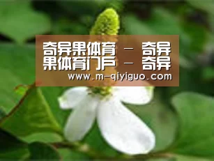 产品名称三