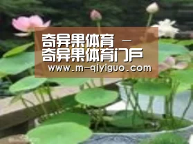 产品名称一