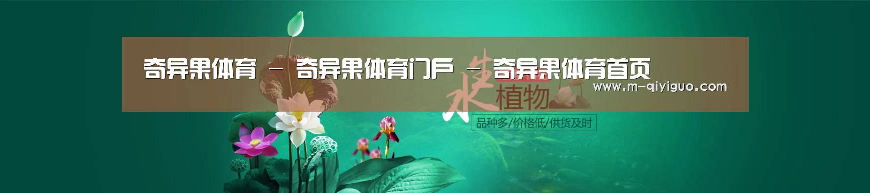 鲜花水草花卉网站模板