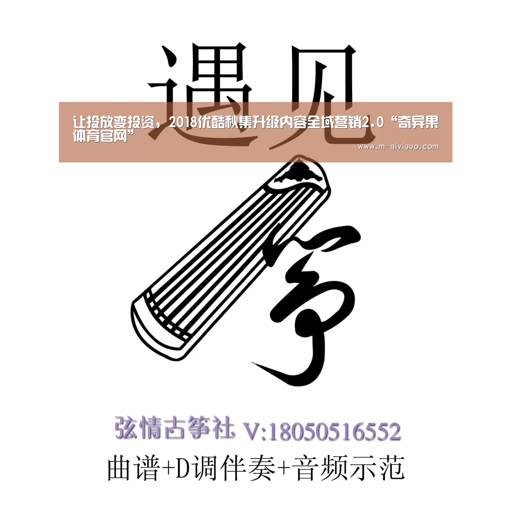 奇异果体育直播