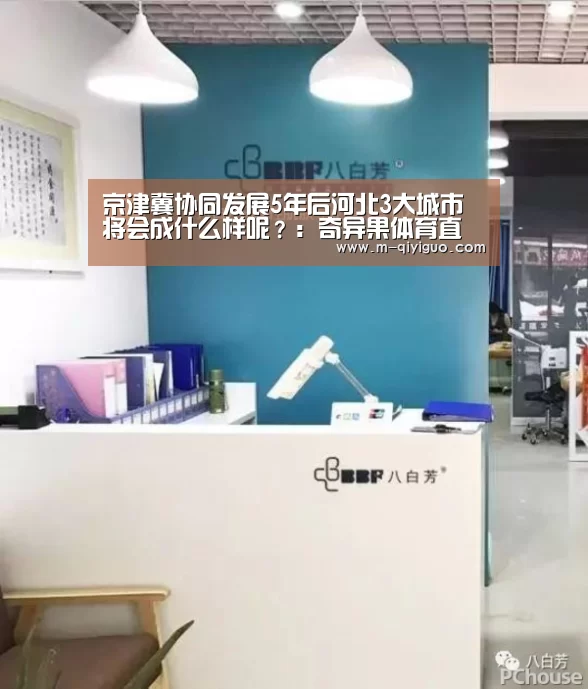 奇异果体育app