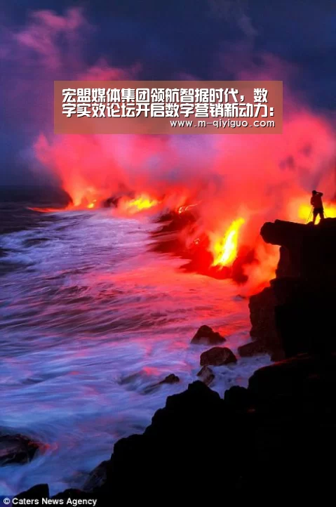 宏盟媒体集团领航智据时代,数字实效论坛开启数字营销新动力:奇异果体育app(图1) 奇异果体育直播